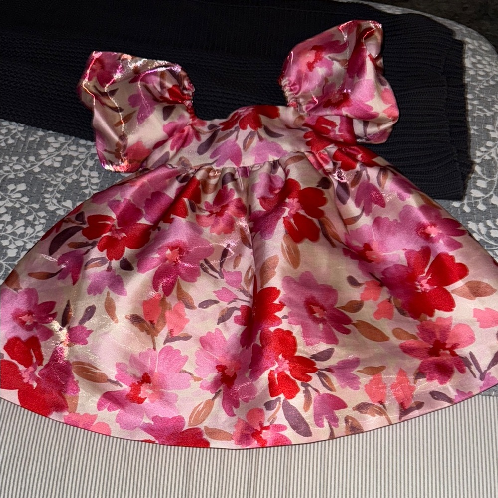 Bonnie Jean toddler 2T dress from a pet and smoke free home.